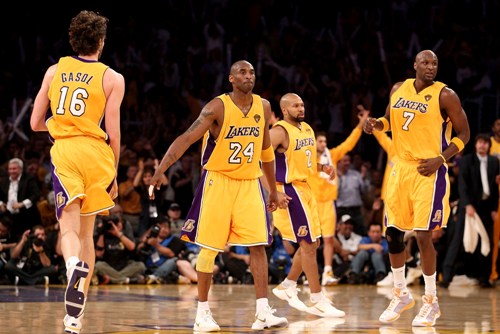LA Lakers | Gaby's Equastrian